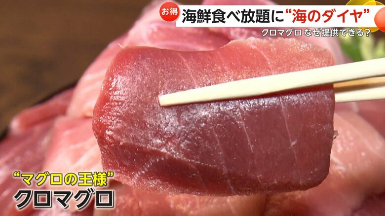 「海のダイヤ」とも呼ばれるマグロの王様「クロマグロ」