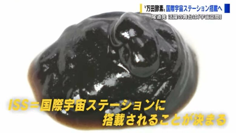 万田酵素（宇宙用）