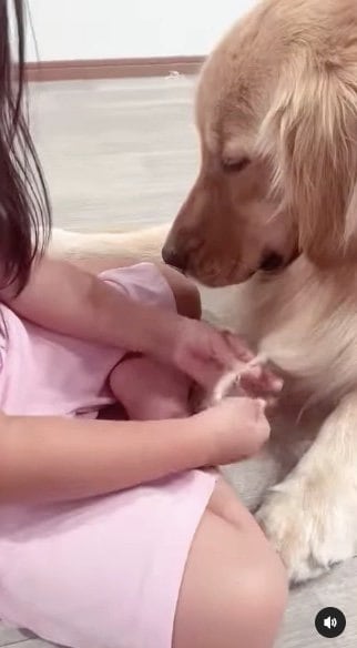 提供：西村 まひろさん