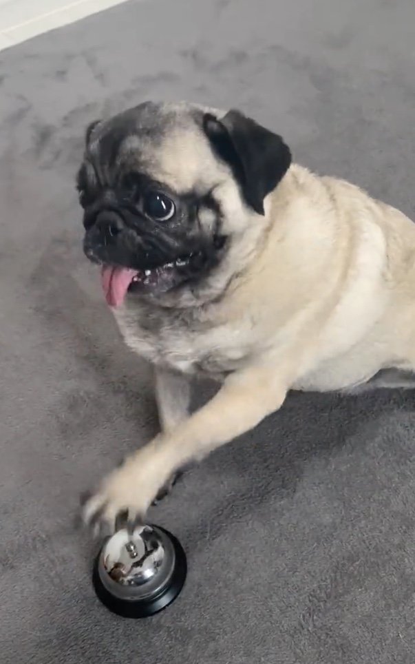 提供：ボンさん