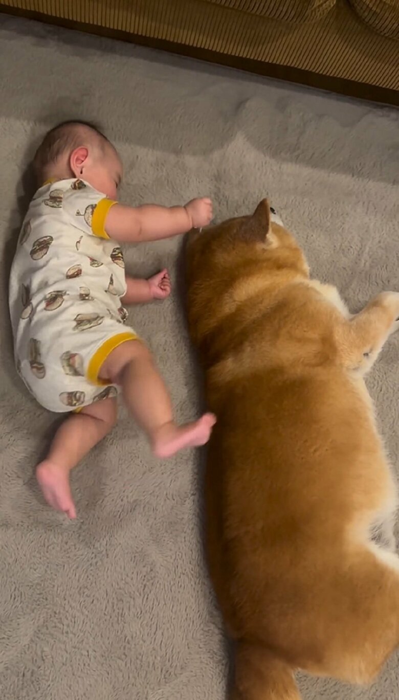 モゾモゾと動いて…