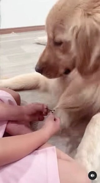 提供：西村 まひろさん