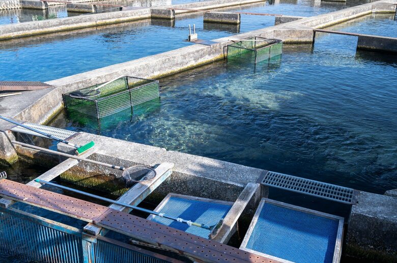 養殖場（イメージ）