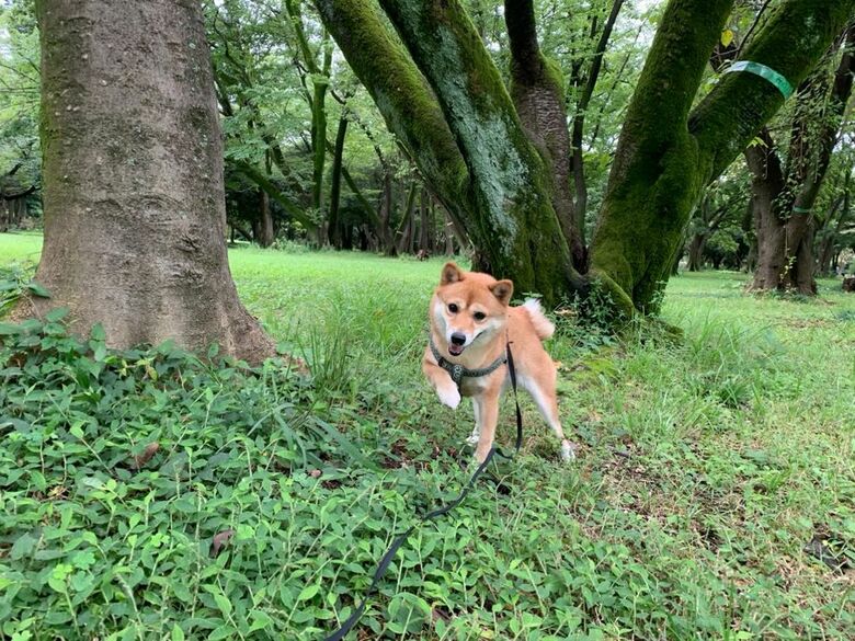 提供：kurararara4466さん