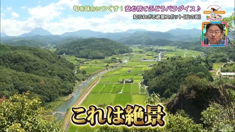展望台からの景色