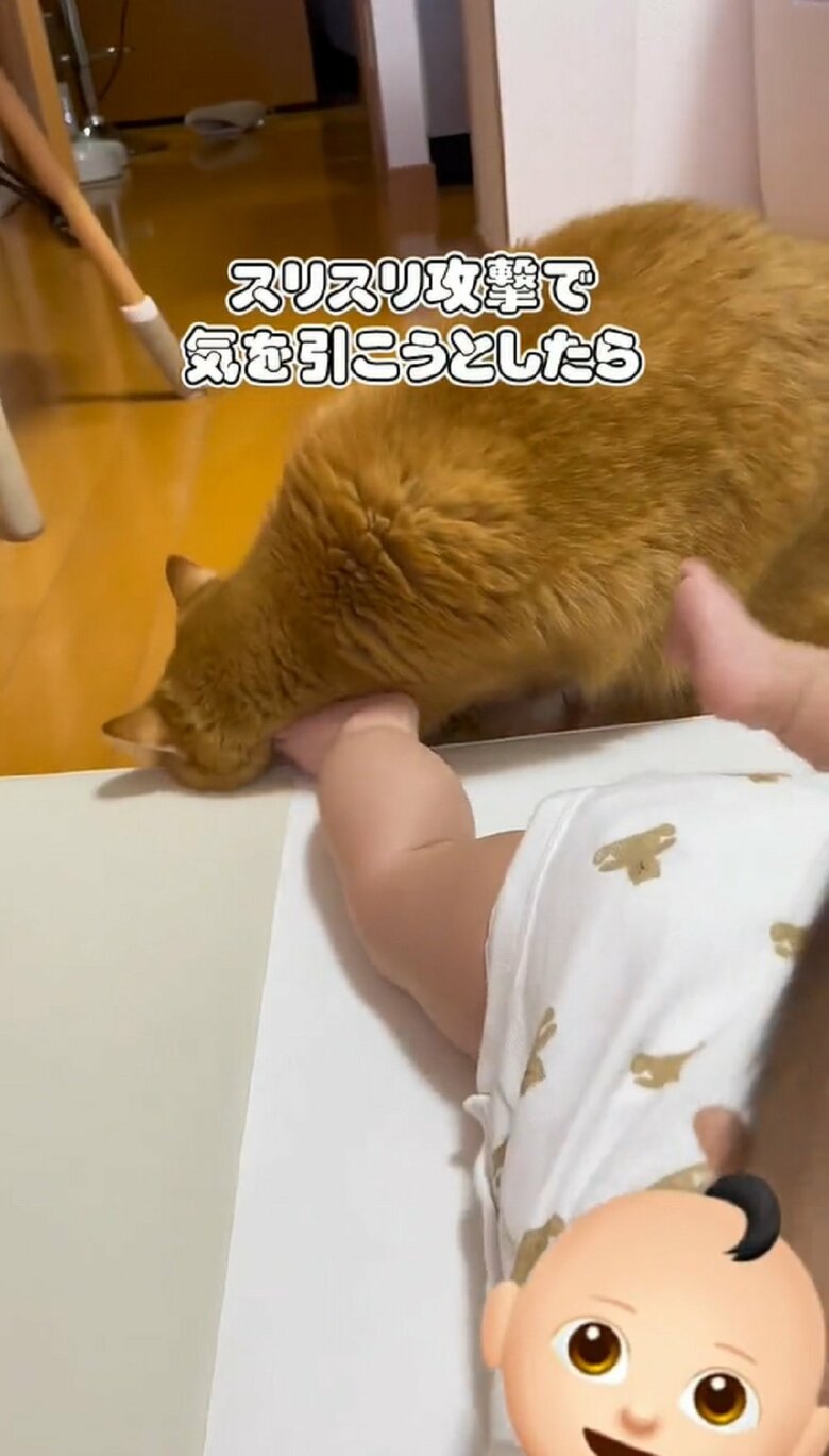 息子さんの気を引こうと…