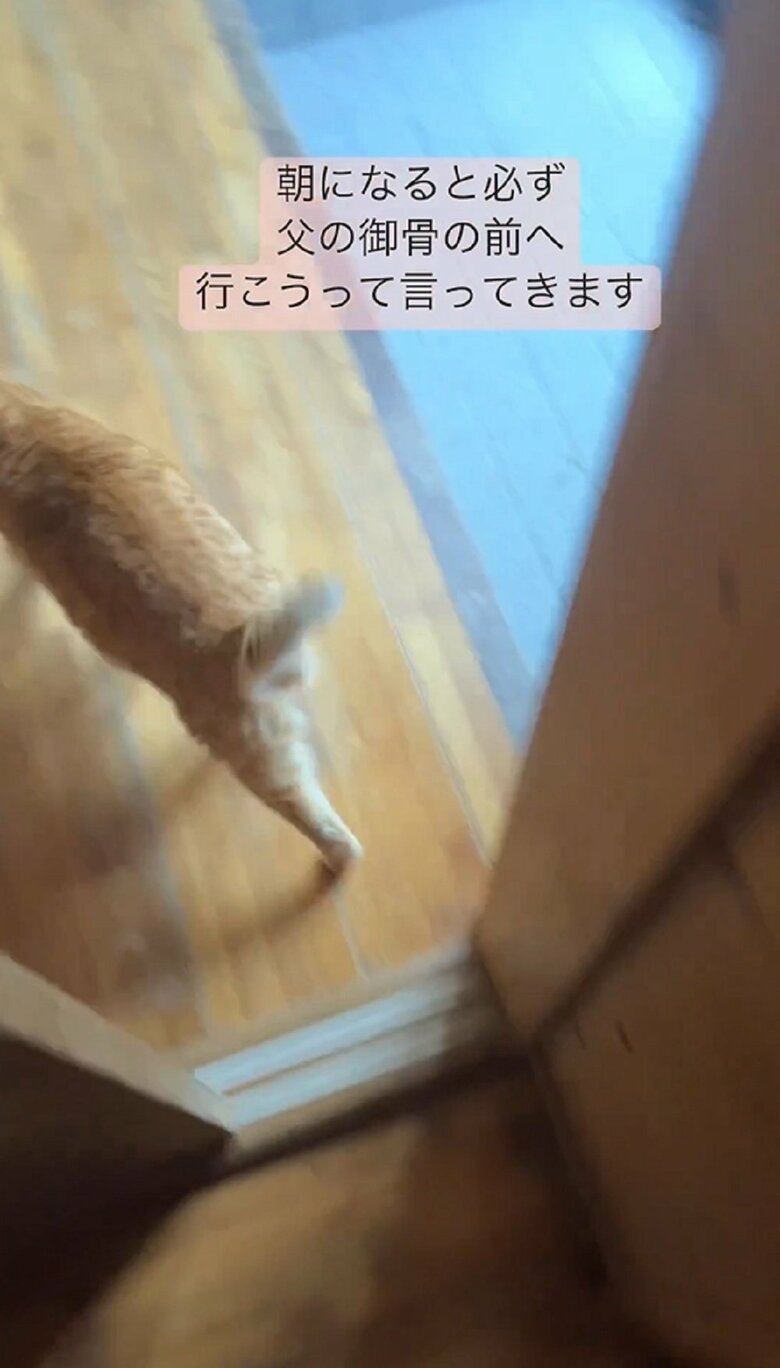 迷いなく進んでいく