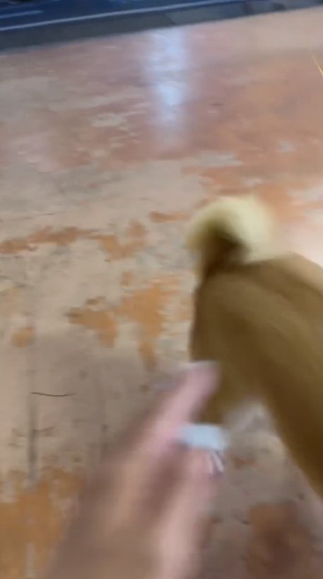 提供：柴犬はらみさん