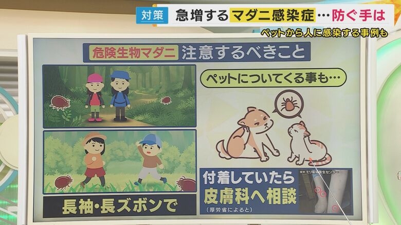マダニ対策の注意点