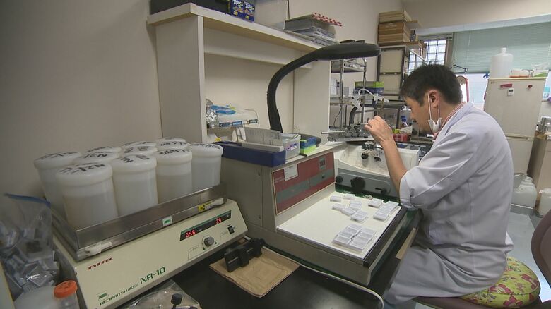 病理組織標本の作成