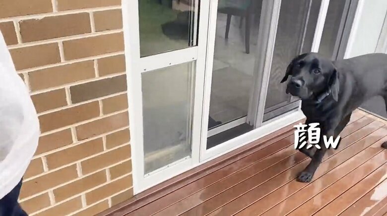 寂しそうな表情で長男たちを見つめている