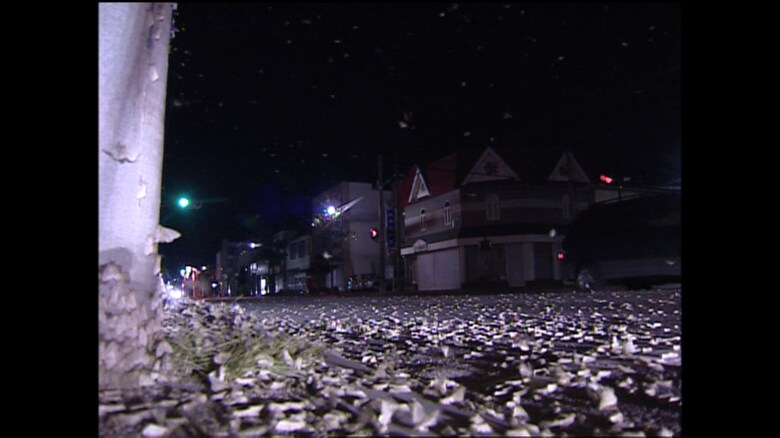 木々の葉を食い尽くす森林害虫