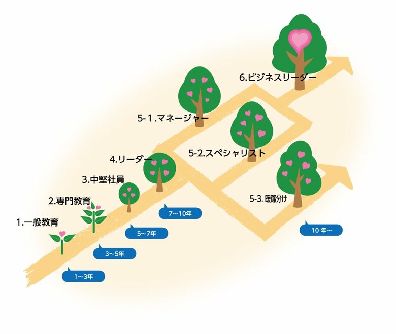 佐藤興業の「キャリアパス」（佐藤興業HPより）