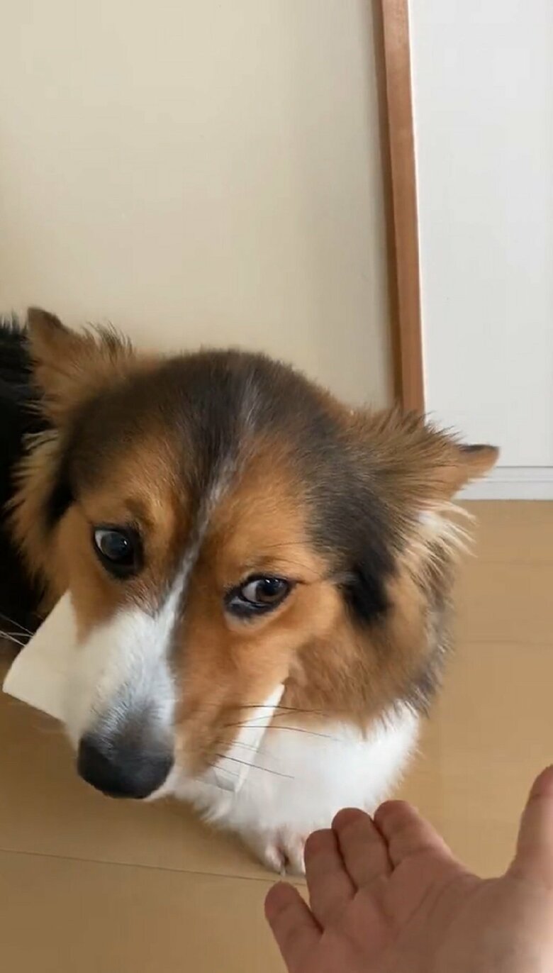 「どうしようかな？」と表情で語っていた