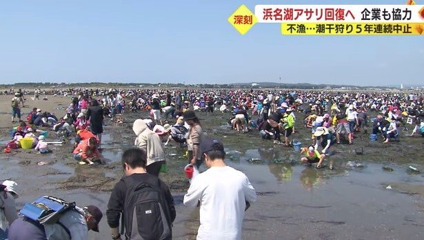 観光の目玉・潮干狩りは5年連続中止に