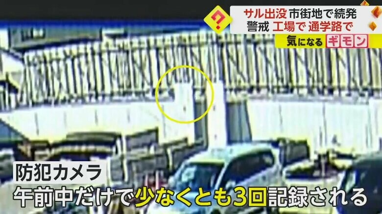 宮城県塩釜市の工場で防犯カメラに映ったサル