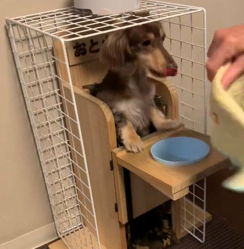 待ちきれないおとくんだった