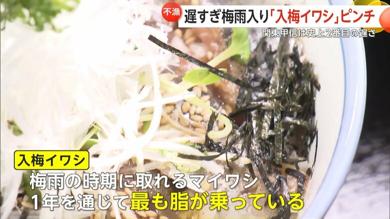 千葉・銚子市が“ブランド化”している「入梅イワシ」