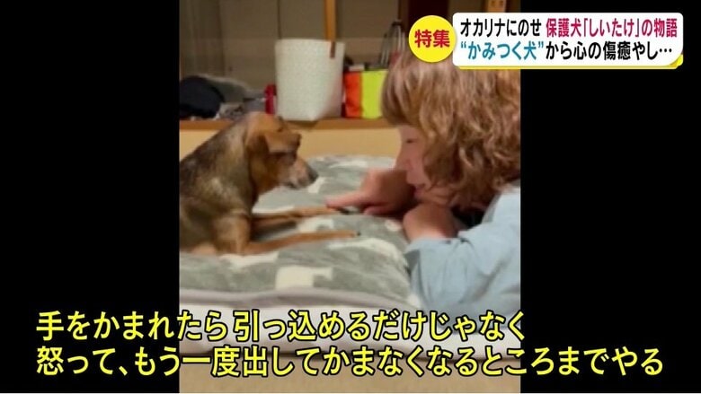 提供・小林さん
