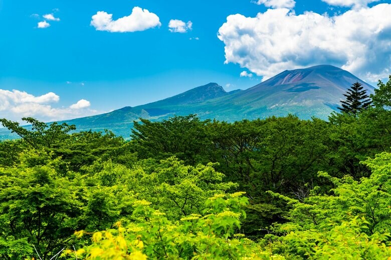 3.11直後から小規模の地震が急増したという浅間山（画像：イメージ）