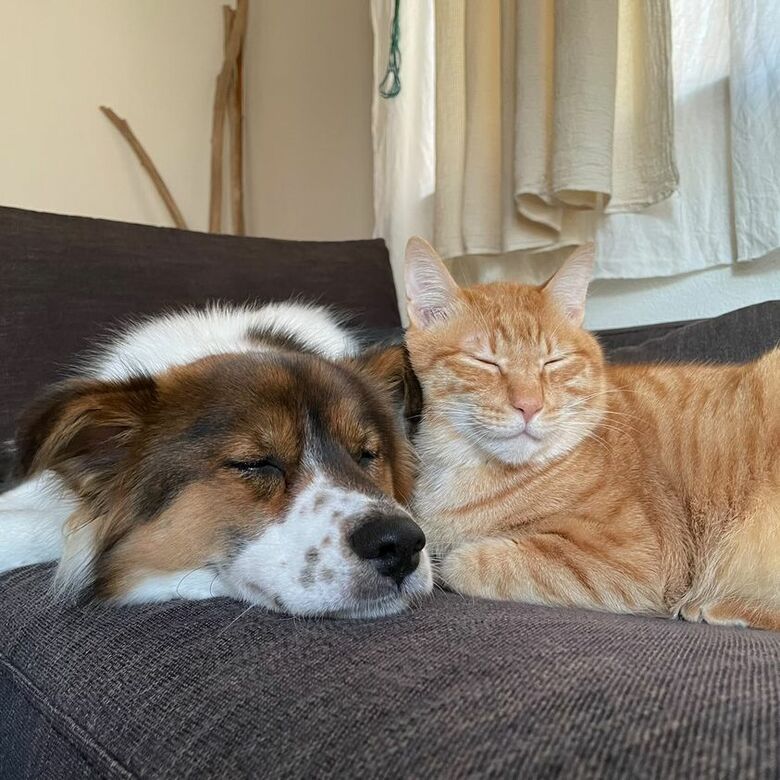 提供：naomiさん