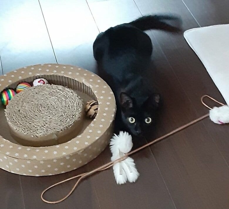 おもちゃと共に