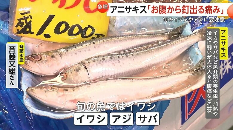 アニサキスは夏場に多いのだそう