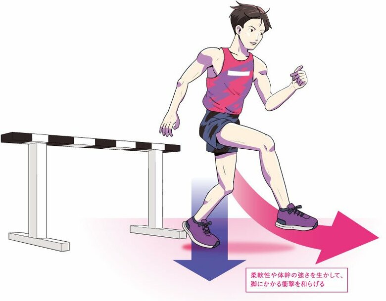 柔軟性や体幹の強さを生かして、脚にかかる衝撃を和らげる