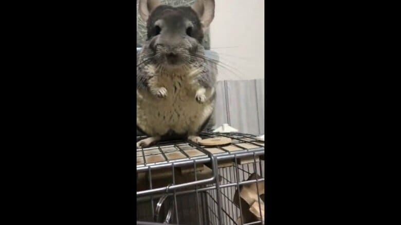 もう1回受け取ったが横に置いてしまった