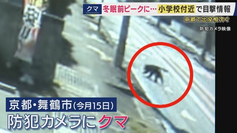 京都市舞鶴市