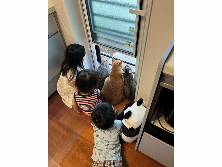 窓辺に大集合（提供：すずつむふうさん）