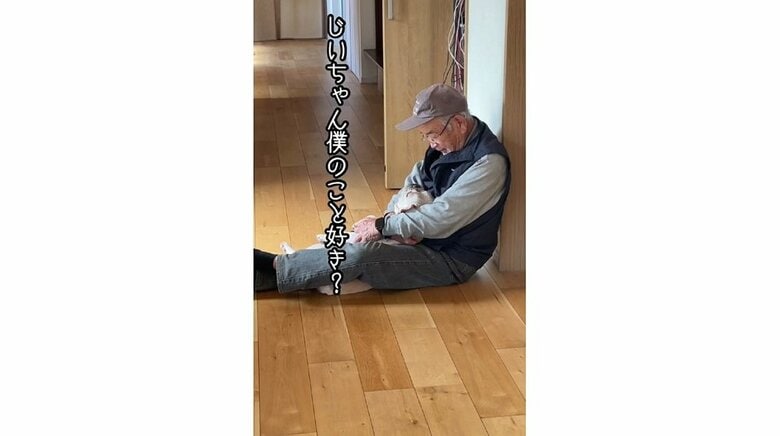 「じいちゃん僕のこと好き？」とおじいちゃんを見上げるブン太くん