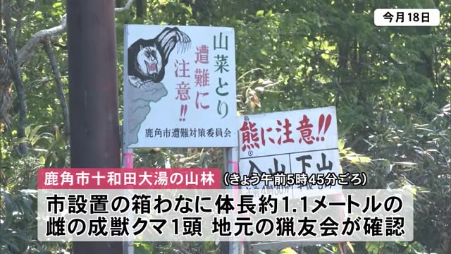 警察官2人がクマに襲われた山林　体長1.1メートルのクマを駆除　秋田・鹿角市