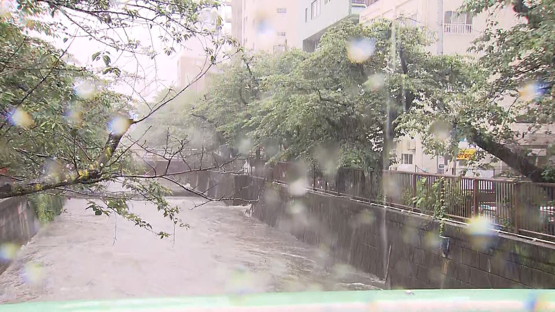 【速報】東京流れる目黒川、善福寺川、野川・仙川のレベル4氾濫危険警報を解除　台風6号接近で一時増水　気象庁