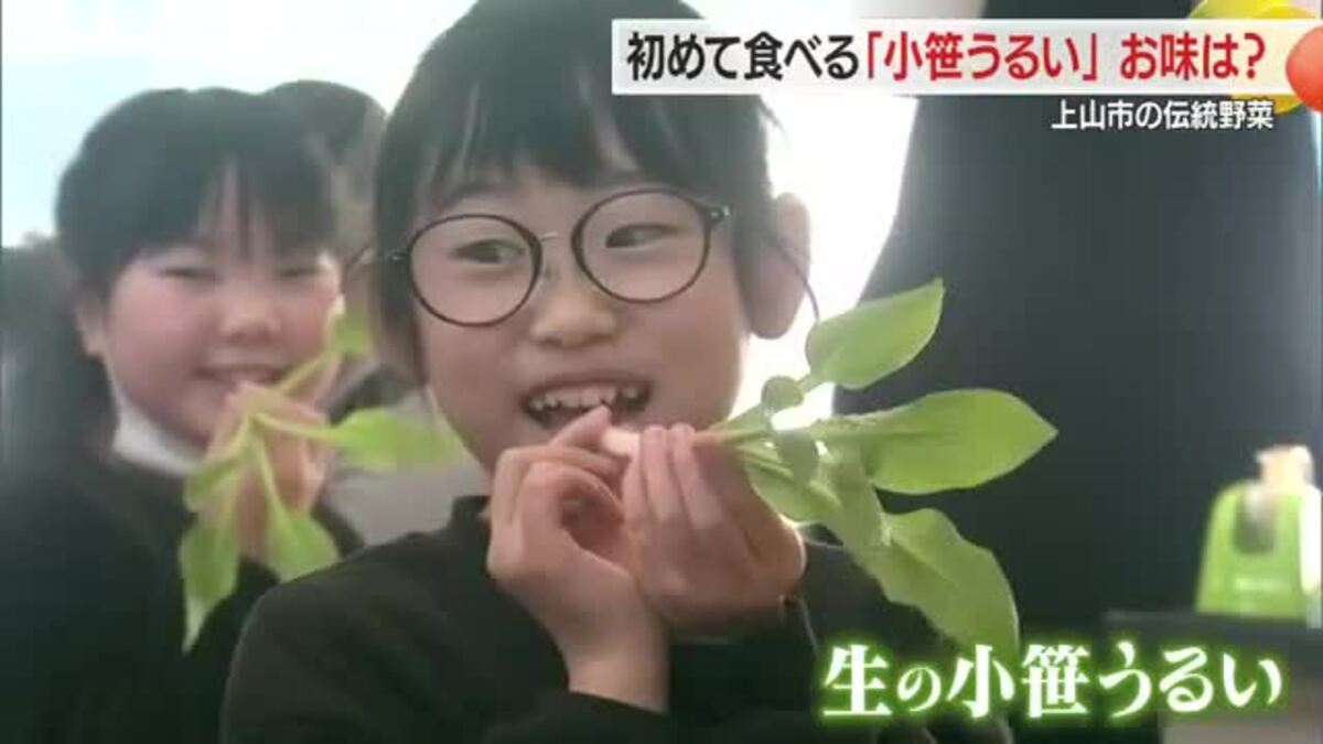 地理的表示「GI」に登録された伝統野菜「小笹うるい」 小学生が歴史・栽培方法など学ぶ 山形・上山市