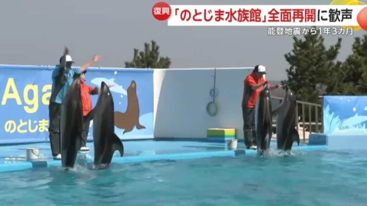 ドルフィンライブ　露出 完全復活】のとじま水族館が能登半島地震から1年3カ月で全面再開 人気のイルカショーに歓声…入場料“値上げ”に「歓迎の声」も｜FNNプライムオンライン