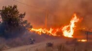 「前例のない悲劇」山火事で少なくとも11人死亡　19人が行方不明　犠牲者の多くが外国籍の可能性も　スペイン南部