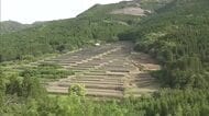 「今年は雨多くて作業進む」 ６月の田植えを前に日南市・坂元棚田の水路清掃