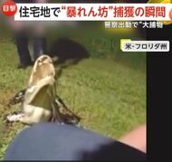 「捕まえた！」逃げ出したペットの“飼いカンガルー”おとなしく帰宅　「アゴくい作戦」で“暴れん坊ワニ”の大捕物も　コロラド州・フロリダ州