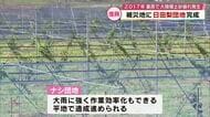 2017年の九州北部豪雨で被災　日田市に特産の“ナシ団地”完成　約3年後から日田梨収穫へ　大分