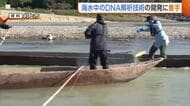 不漁の要因“海水温上昇”の影響把握へ　新潟県が“海水中のDNA”解析技術開発に着手「漁業者の所得向上・経営安定につなげる」