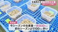 宮城県産生食用カキ １０月２７日出荷解禁　海水温上昇で生育遅れも品質向上に期待