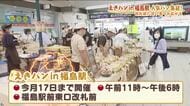 福島駅に人気のローカルパンが集合！　『えきパン』ふくしまDCに合わせ県内初開催　5月17日まで