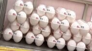 3カ月連続で卵価格高騰…猛暑で産卵が減少したことや餌代の上昇…