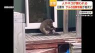 「近づいたり刺激したりしないで！」鹿児島・日置市にサル出没　けがの住民も　小学校は登校指導