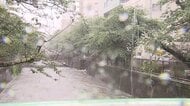 【速報】東京流れる目黒川、善福寺川、野川・仙川のレベル4氾濫危険警報を解除　台風6号接近で一時増水　気象庁