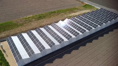 太陽パネル×シイタケ栽培…農業と売電 2つ収益見込める新しい農業の形【岡山発】