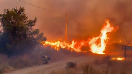 「前例のない悲劇」山火事で少なくとも11人死亡　19人が行方不明　犠牲者の多くが外国籍の可能性も　スペイン南部