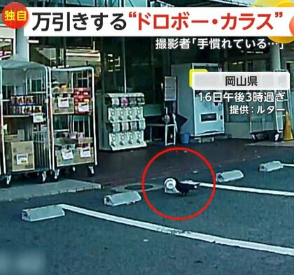 【独自】「手慣れている…初犯じゃないよ」スーパー店頭のカップ麺をカラスが万引き…隣の建物の屋根で器用に中身をペロリ　岡山