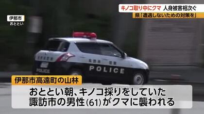 「クマと5分ほど格闘」キノコ採りの61歳男性が顔と体をひっかかれる　成獣と子グマに遭遇…70代男性もクマに襲われる　「遭遇しない対策を」2日連続クマによる人身被害が発生　長野県伊那市、軽井沢町